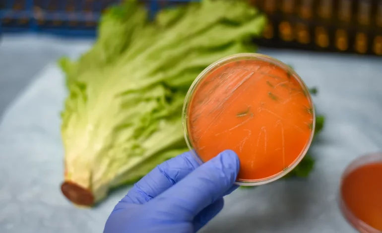 Listeria outbreak: What to know and how to protect yourself
